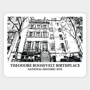 Theodore Roosevelt Birthplace National Historic Site Magnet